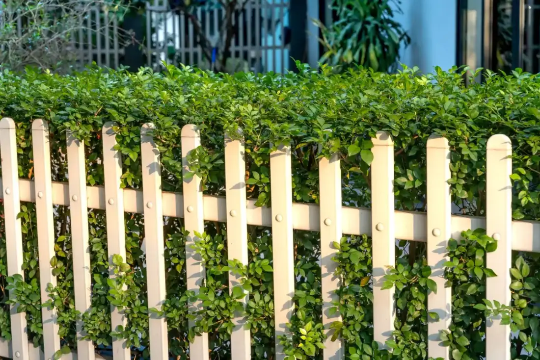 Privacy Walls & Slat Screens in Carlsbad, CA